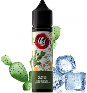 ZAP! Juice S&V AISU 10ml Cactus
